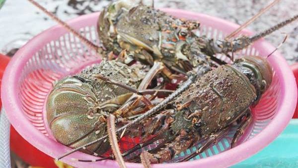Chợ hải sản ‘ăn liền’ ở Đà Nẵng