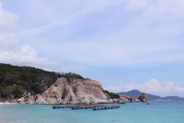 ‘Đi bè’ ở đảo Bình Hưng – trải nghiệm đầy thú vị khi du lịch Khánh Hòa