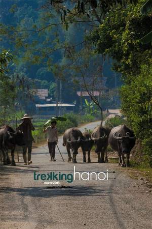 Theo chân Desmond Wong khám phá Việt Nam qua “Trekking Hanoi”