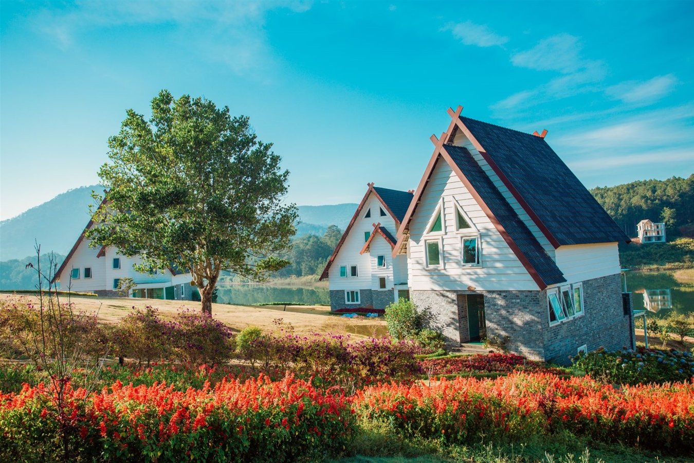 Kỳ nghỉ Tết 2024 đầy ý nghĩa tại top 9 khách sạn – resort Đà Lạt có giá ưu đãi bất ngờ