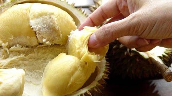 Vĩnh Long: Nhắc đến du lịch Vịnh Long, du khách chỉ nhớ đến 2 khu du lịch có tiếng của vùng đất này. Tuy nhiên, đó là vào những thời điểm khác. Mùa hè, Vĩnh Long đón du khách với những vườn trái cây sai trái, những món ăn dân dã, giấc ngủ trên chiếc võng giữa vườn. Ảnh: Lifehack.