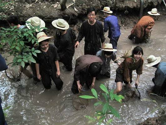 Bến Tre mùa hè mê hoặc du khách với những vườn trái cây trĩu quả, những trái dừa thơm ngọt, các đặc sản ở các cồn, chuyến rong chơi bằng xe ngựa và chèo xuồng trên dòng kênh. Ảnh: Linh San.