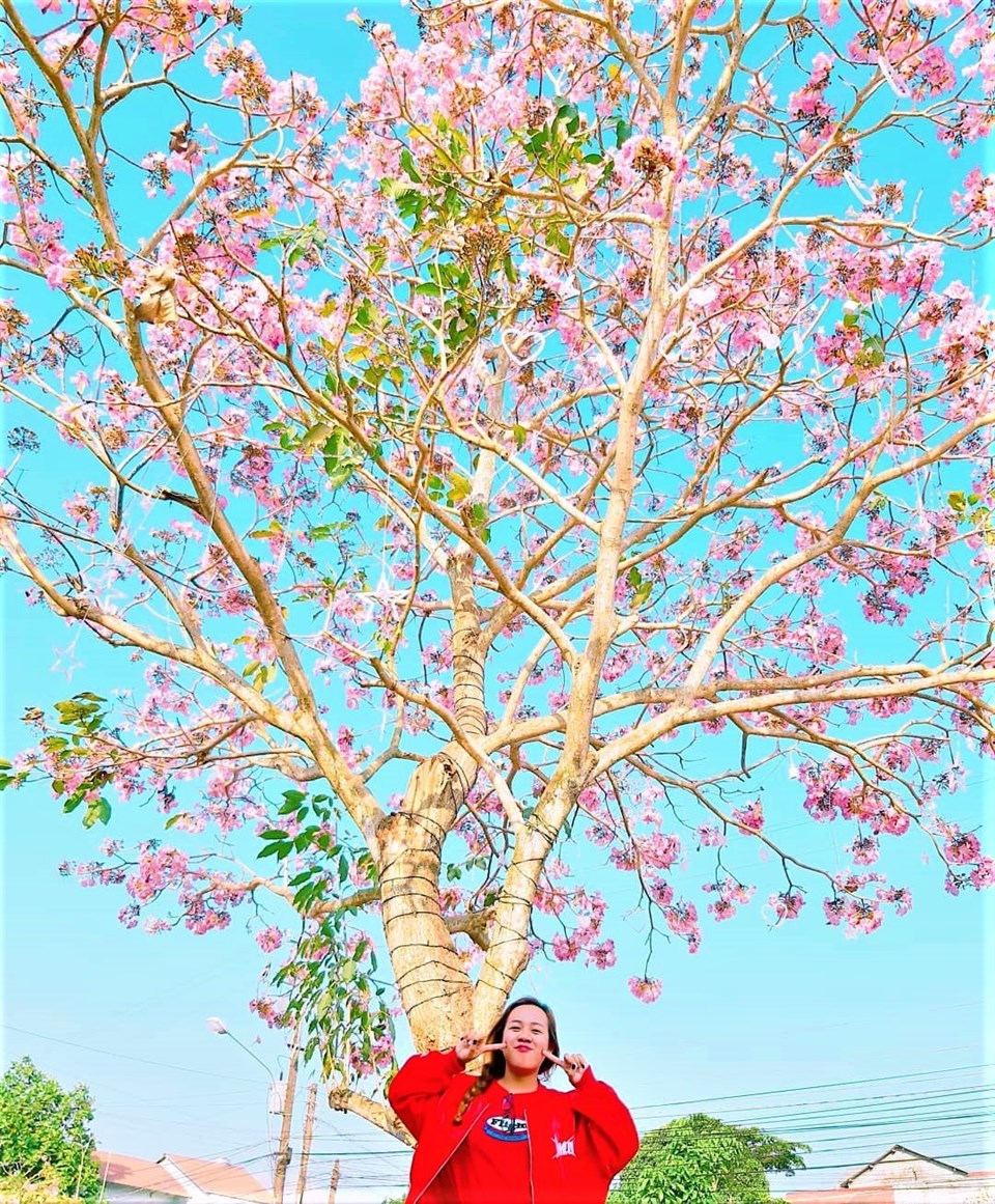 Hồ Nam Phương II - điểm sống ảo Bảo Lộc