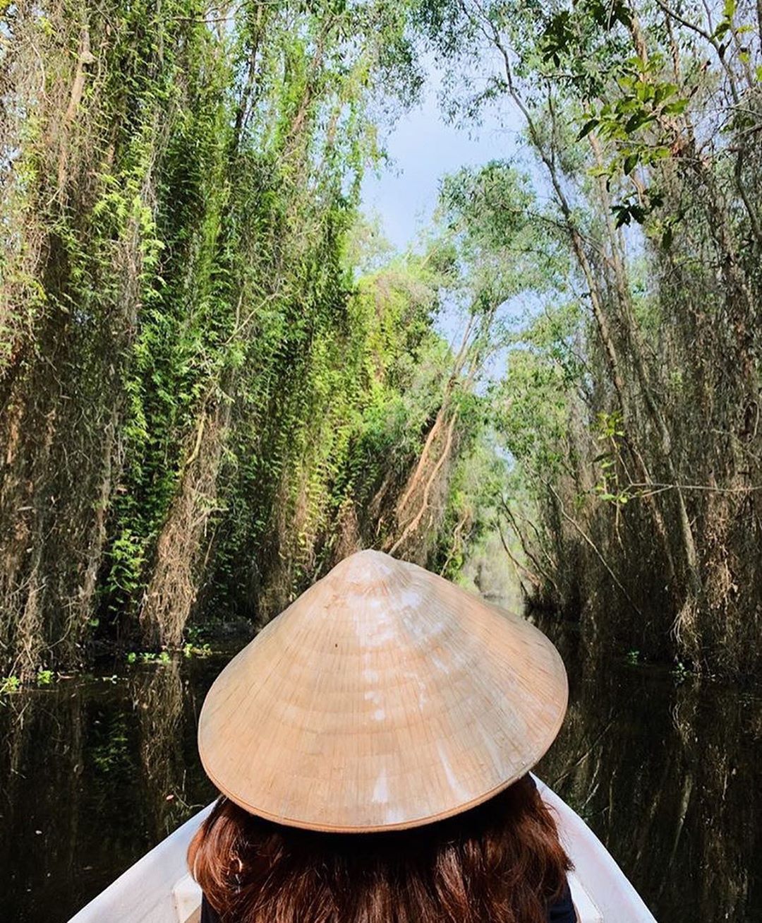 Rừng tràm làng nổi Tân Lập - điểm vui chơi gần Sài Gòn