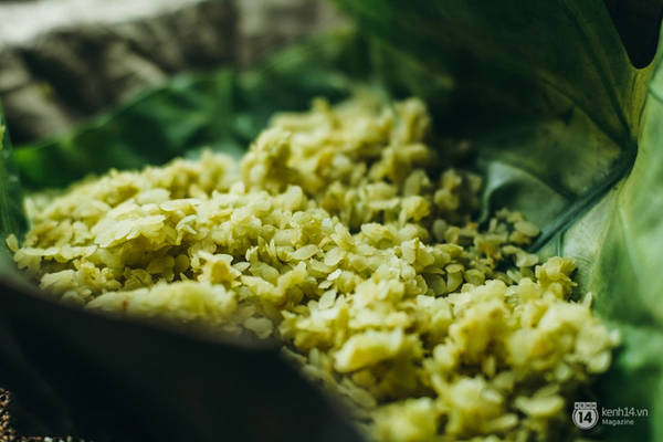 Mùa thu Hà Nội với sấu chín