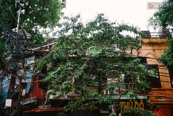 Hồ Tây lãng đãng sương mờ trong sớm thu