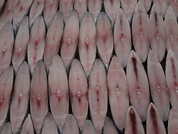 Cá thu một nắng - món ngon Côn Đảo đặc trưng. Ảnh: Phước Bình.