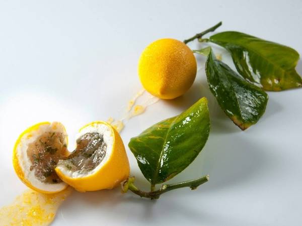 Le Meurice Alain Ducasse, Paris, Pháp - suất ăn đắt nhất thế giới với 5 món