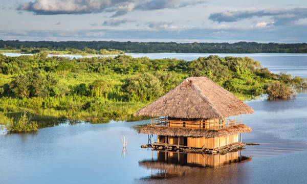 Du ngoạn đường thủy rừng Amazon Peru