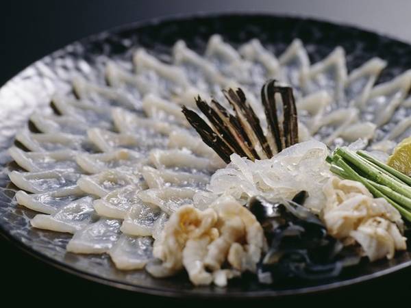 Fugu sashimi cá nóc ẩm thực Nhật Bản