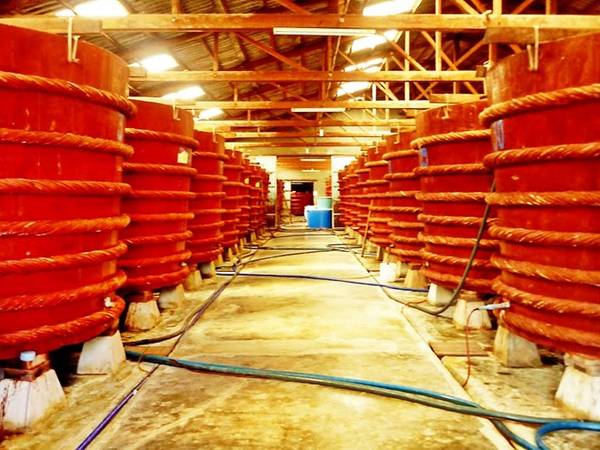 Nhà thùng sản xuất nước mắm Phú Quốc - điểm đến Phú Quốc đặc sản