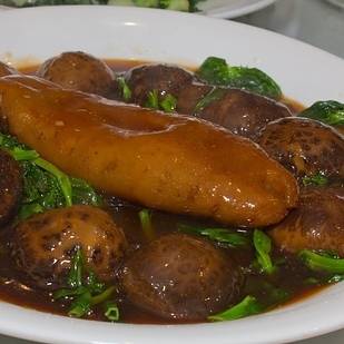 Hải sản châu Á - Hải sâm