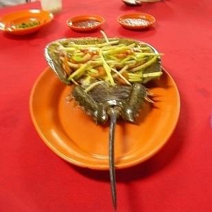 Hải sản châu Á - Sam biển