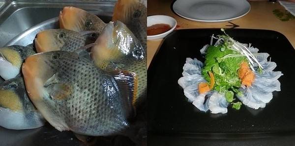 Hải sản châu Á - Món cá nóc gai