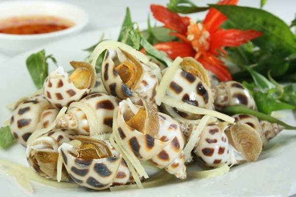 Hải sản châu Á - Ốc hương