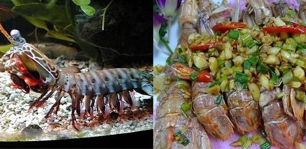 Hải sản châu Á - Bề bề Nhật Bản