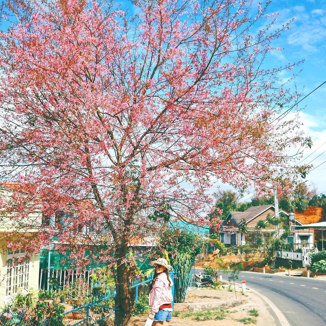 Khách sạn Đà Lạt view đẹp