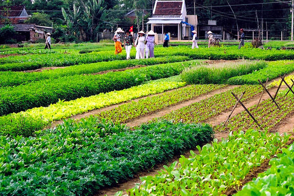 Ảnh: Vietnamtourism.com.