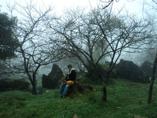 Sapa - iVIVU.com