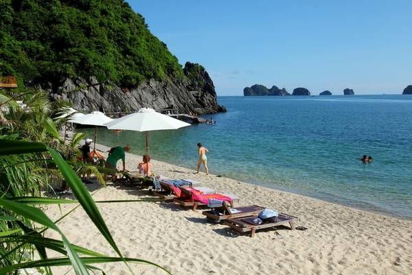 18. Bãi Cát Dứa 2 – Vịnh Lan Hạ: Bãi Cát Dứa 2 nằm bên phía tay phải khuất sau mỏm núi hình con hổ. Bãi tắm có một khu vườn rộng mấy trăm m2 có các loại cây như dứa dại, cây phong ba, cây si, cây táo trắng... và nhiều loại chim chóc khác nhau. Nếu thích khám phá, bạn có thể trèo lên phần lưng chừng núi, thậm chí lên đến tận đỉnh núi để phóng tầm mắt ra xa bao quát toàn cảnh vịnh Lan Hạ với hàng trăm hòn đảo lớn nhỏ mọc lên trên làn nước trong xanh điểm xuyết những bãi cát trắng mịn ở xa xa tầm mắt. Ảnh: Đảo Cát Dứa