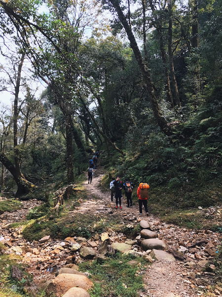 Những đoạn đường đầu tiên của hành trình trekking Fansipan.