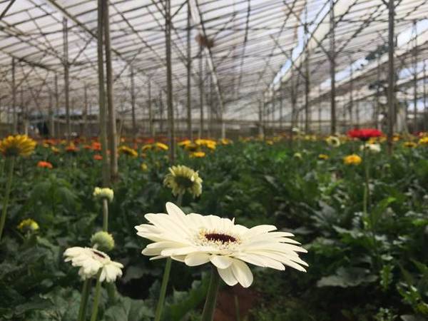 Các bạn có thể kết thúc hành trình buổi sáng ở đây để về ăn trưa, nghỉ ngơi lấy lại sức khỏe để buổi chiều đi chơi tiếp.