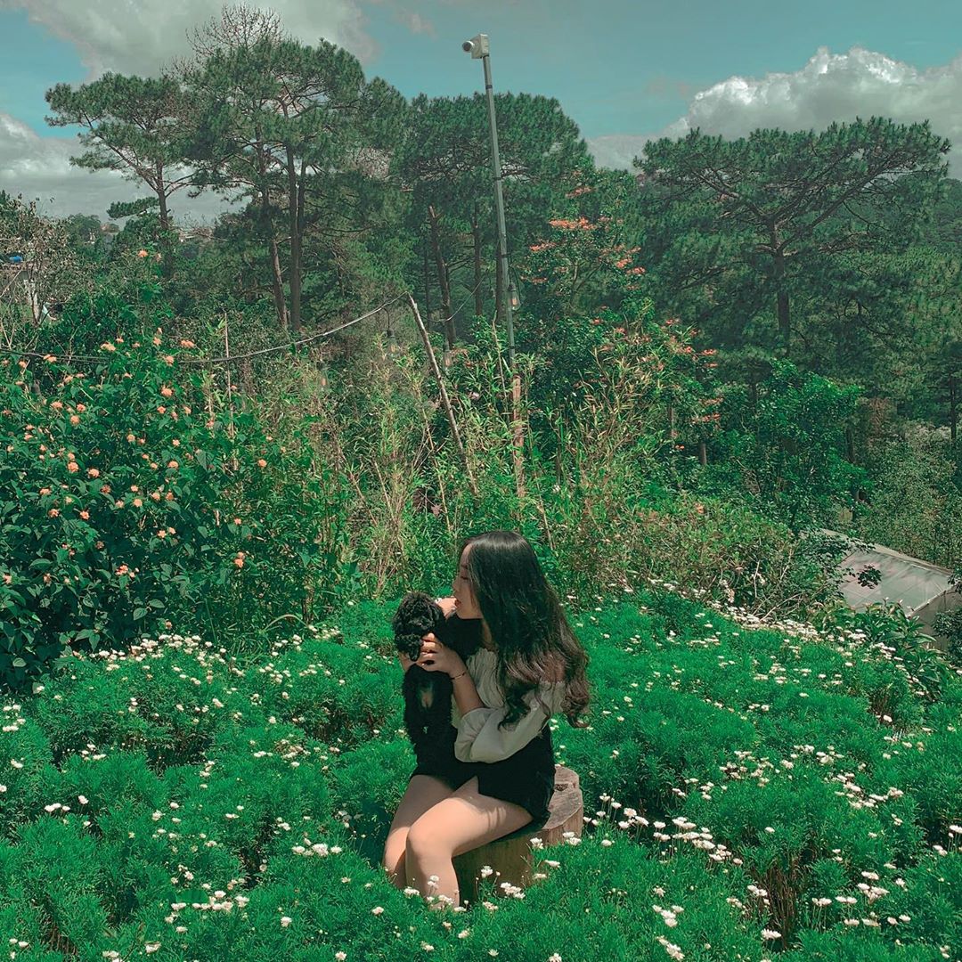 Ảnh: _ahthw_