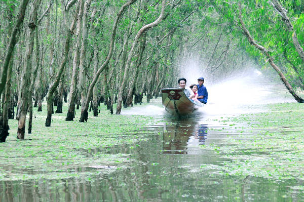 Ngồi chèo thuyền ngắm cảnh rừng tràm Trà Sư giải nhiệt ngày hè