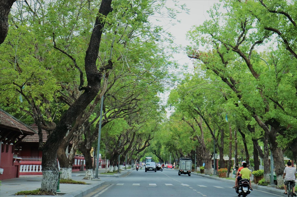 Kinh nghiệm du lịch Huế 3 ngày 2 đêm tự túc