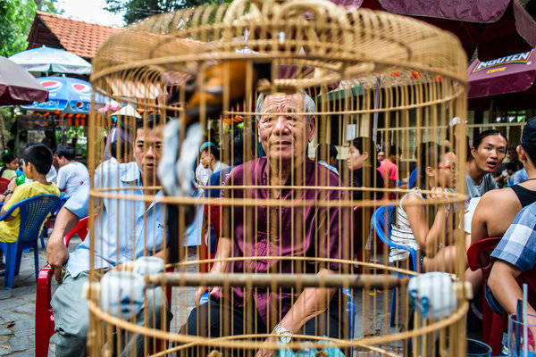 36 giờ Sài Gòn - Công viên chim cảnh