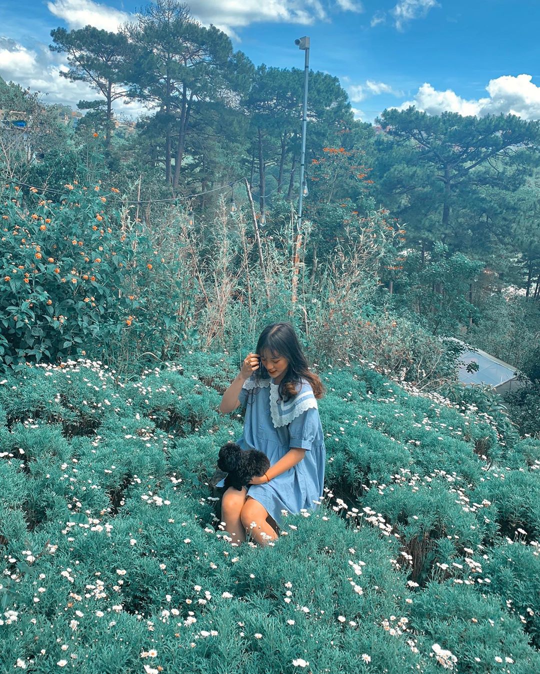Ảnh: thonehh