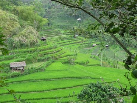 Du lịch Indonesia - đảo Bali - iVIVU.com