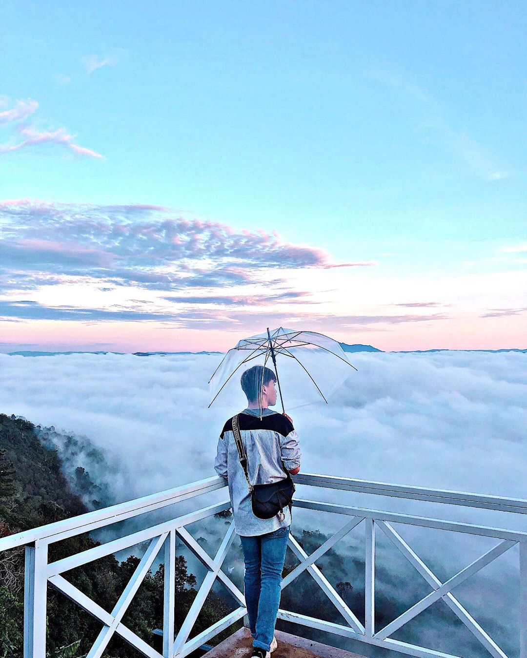 Ngôi nhà bong bóng điểm sống ảo Đà Lạt tại đồi chè Cầu Đất
