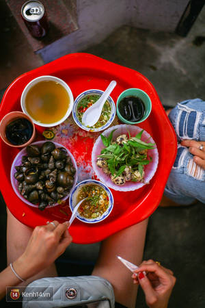 4-hang-oc-ngon-nuc-tieng-ha-noi-chua-di-an-la-phi-cua-gioi-ivivu-5