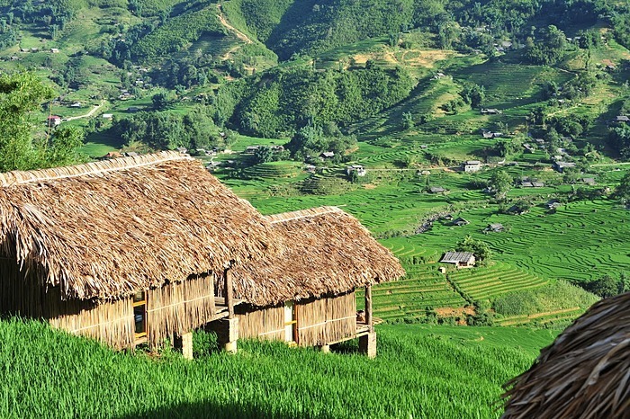Eco Palms House - homestay Sapa view Hoàng Liên Sơn và thung lũng Mường Hoa
