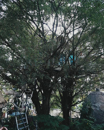 4-homestay-long-lanh-nhu-buoc-ra-tu-trong-phim-chi-cach-ha-noi-hon-1-tieng-di-xe-ivivu-10 4-homestay-long-lanh-nhu-buoc-ra-tu-trong-phim-chi-cach-ha-noi-hon-1-tieng-di-xe-ivivu-10