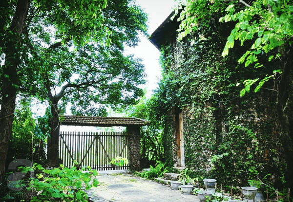 4-homestay-long-lanh-nhu-buoc-ra-tu-trong-phim-chi-cach-ha-noi-hon-1-tieng-di-xe-ivivu-16 4-homestay-long-lanh-nhu-buoc-ra-tu-trong-phim-chi-cach-ha-noi-hon-1-tieng-di-xe-ivivu-16