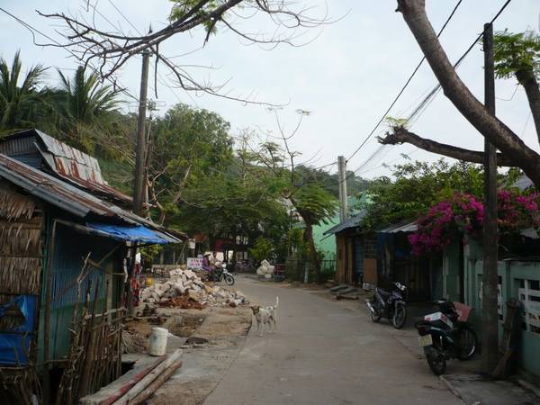 Con đường làng quanh đảo. Ảnh: Lê Hữu Uy