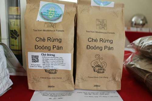Chè Đoỏng Pán Cao Bằng là đặc sản của huyện Quảng Uyên. Ảnh: caobang.gov.