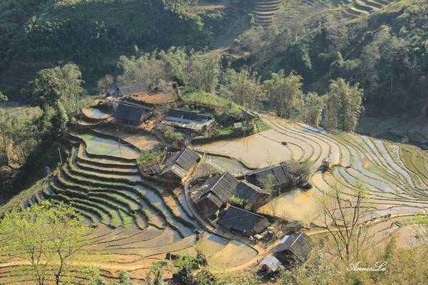 12h: Ăn trưa ở thị trấn Sa Pa. 13h: Tham quan nhà thờ Đá, khám phá thị trấn. 16h: Di chuyển đến bản Tả Van, cách trung tâm thị trấn 7 km. Trên đường đi, du khách có dịp chiêm ngưỡng vẻ đẹp từ những thửa ruộng bậc thang ở thung lũng Mường Hoa (ảnh). 12h: Ăn trưa ở thị trấn Sa Pa. 13h: Tham quan nhà thờ Đá, khám phá thị trấn. 16h: Di chuyển đến bản Tả Van, cách trung tâm thị trấn 7 km. Trên đường đi, du khách có dịp chiêm ngưỡng vẻ đẹp từ những thửa ruộng bậc thang ở thung lũng Mường Hoa (ảnh).
