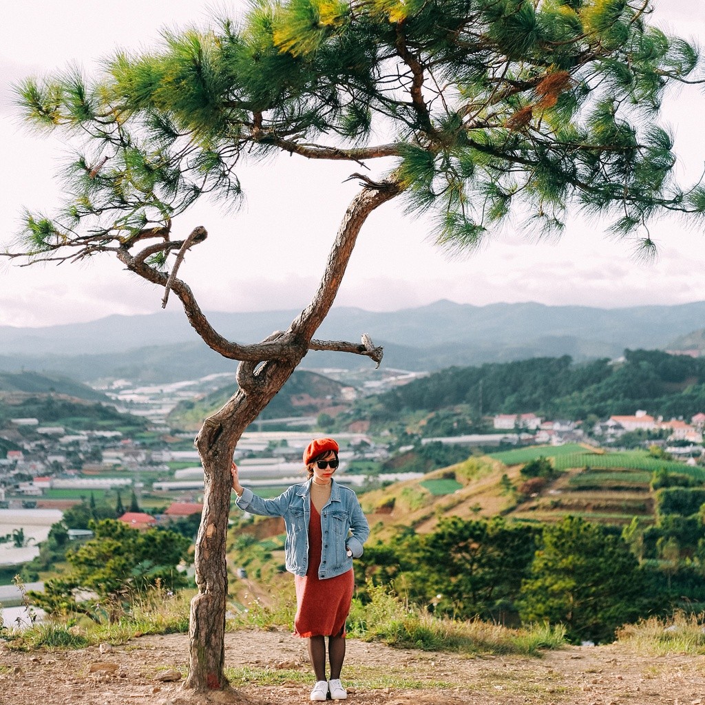 Toàn cảnh ngoại ô Đà Lạt từ đồi view đẹp Đà Lạt