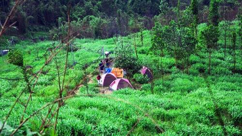 Với hành trình khám phá núi Chứa Chan, bạn có thể ngắm cây đa 3 gốc, uống nước suối Da Lào trong vắt và tham quan Đức Phật tại chùa Bửu Quang... Ảnh: Trung Hiếu.