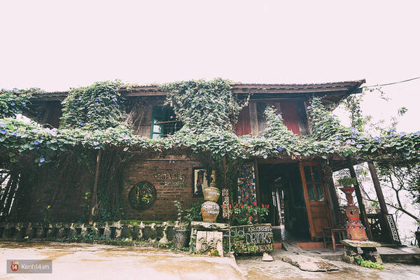 Gem Valley quán cafe Sapa với hoa leo phủ kín và không gian mộc mạc