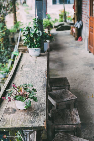 Không gian ấm cúng quán cafe Sapa Gem Valley bằng gạch và gỗ