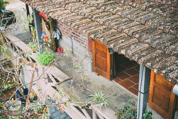 View ruộng bậc thang từ ban công quán cafe Sapa Gem Valley
