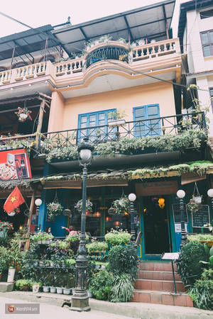 Mặt tiền Viet Emotion quán cafe Sapa với chậu hoa treo tường xanh