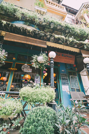 Không gian ấm áp quán cafe Sapa Viet Emotion với đèn lồng nhiều màu