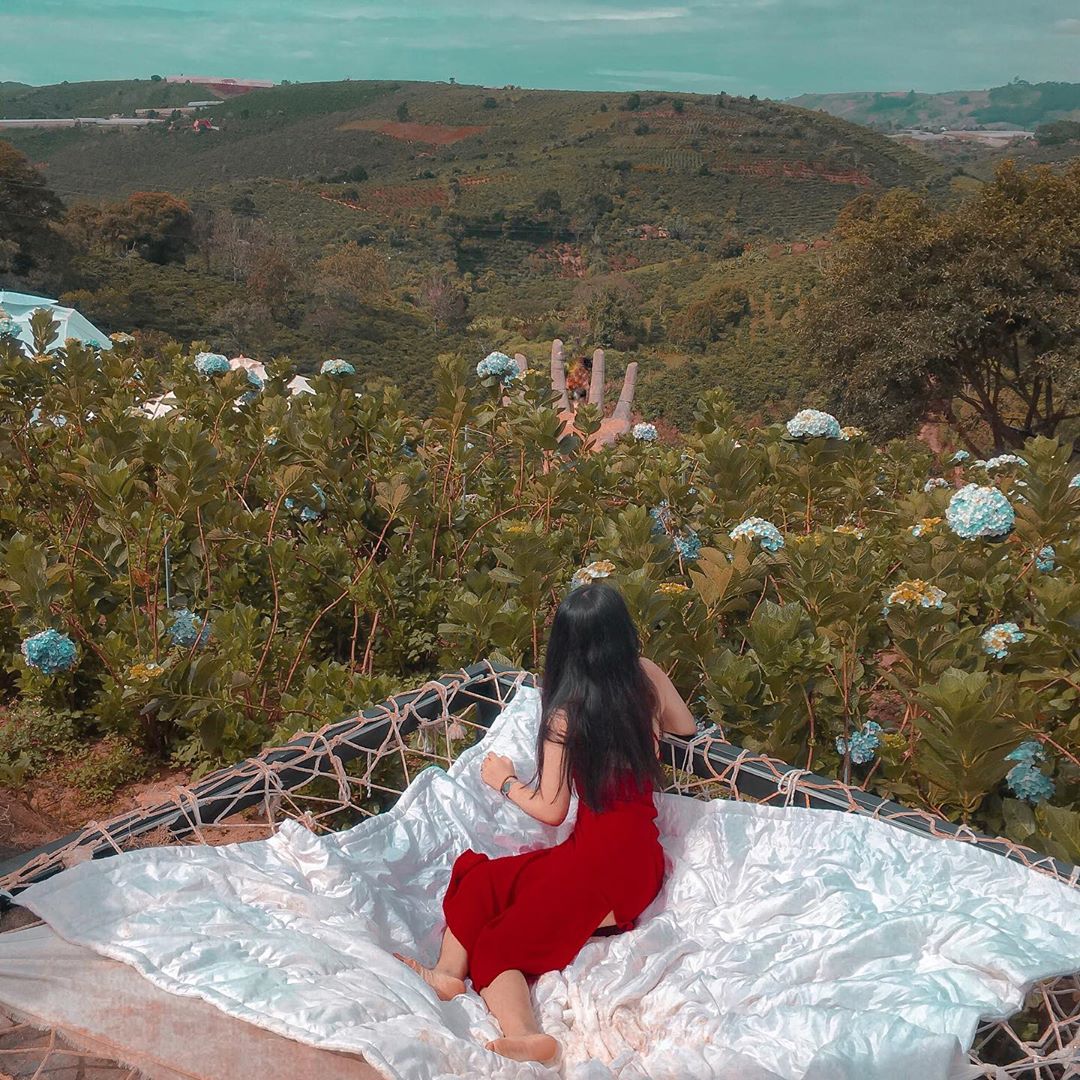 DalaLand điểm sống ảo Đà Lạt với view đồi chè đẹp như Bali