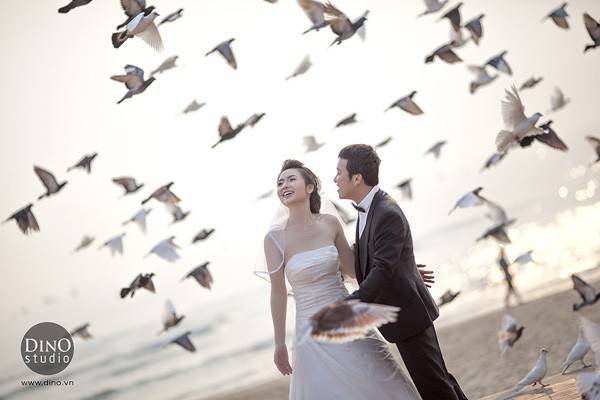 Chụp ảnh cưới với bồ câu mang đến ấn tượng độc đáo.