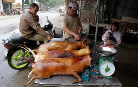 Món thịt cầy nóng hổi đặc trưng thời điểm 2014